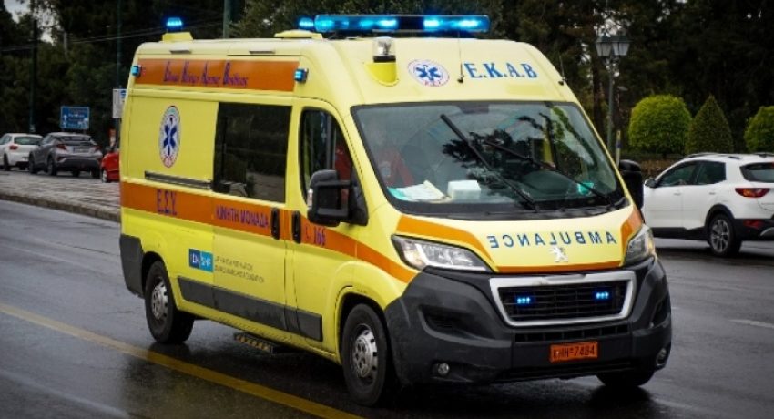 Υπέφεραν από τους πόνους: Τι λέει 15χρονος και η μητέρα του για την προβατίνα που έφαγαν