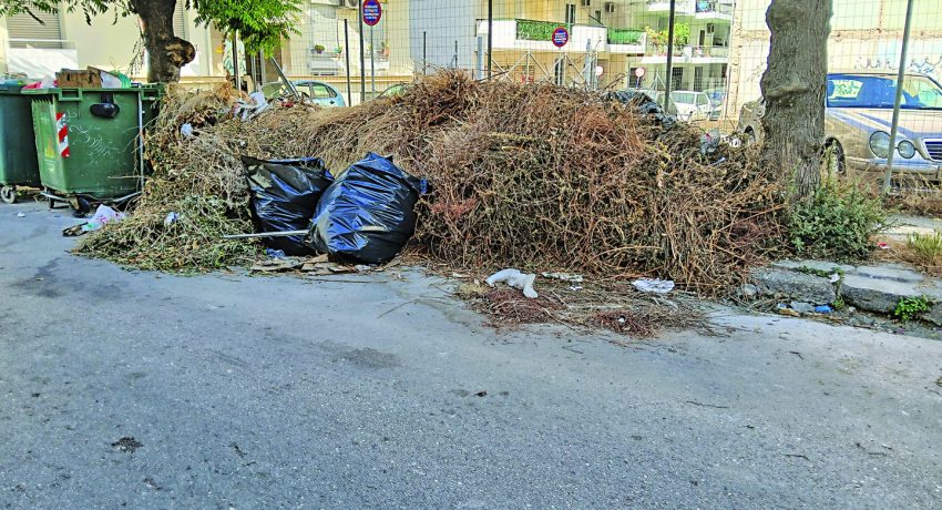 Πάτρα: Κάνουν “πάρτι” τα ποντίκια