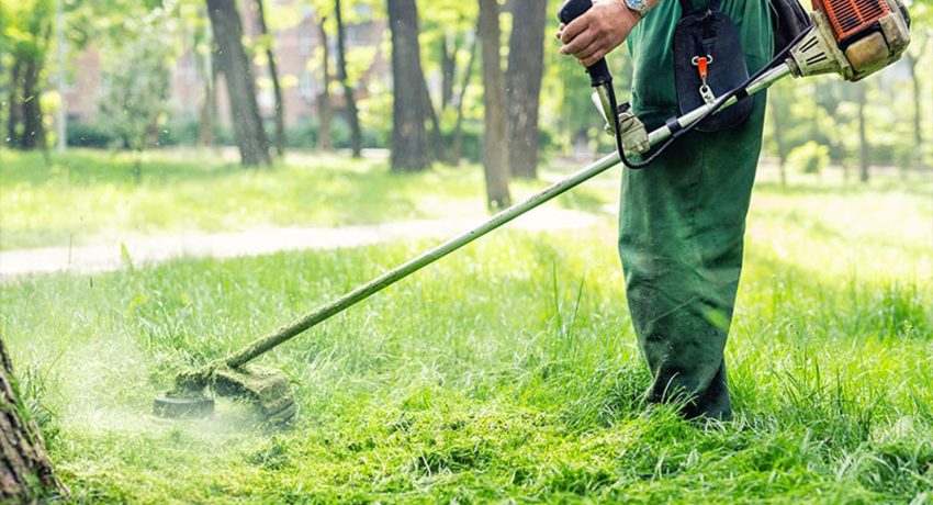 Ναύπακτος: Νέα παράταση για τις δηλώσεις καθαρισμού οικοπέδων στην ψηφιακή πλατφόρμα