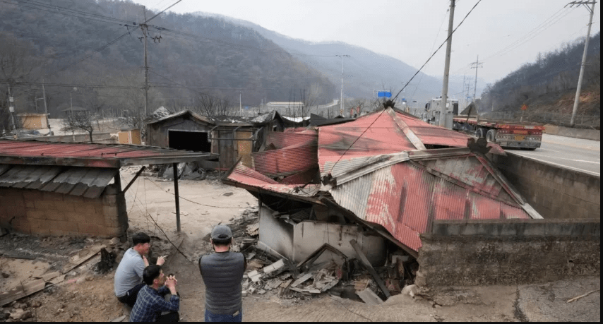 Φονικές πυρκαγιές Νότια Κορέα – 26 νεκροί και δεκάδες χιλιάδες στρέμματα «στάχτη»