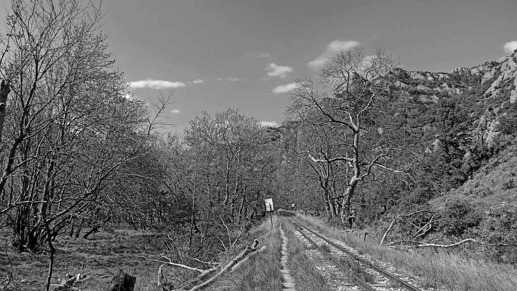 Αυτοοργανωμένη Συλλογικότητα Καλαβρύτων: ΠΛΑΤΑΝΙΑ ΛΙΓΟ ΠΡΙΝ ΤΟ ΤΕΛΟΣ