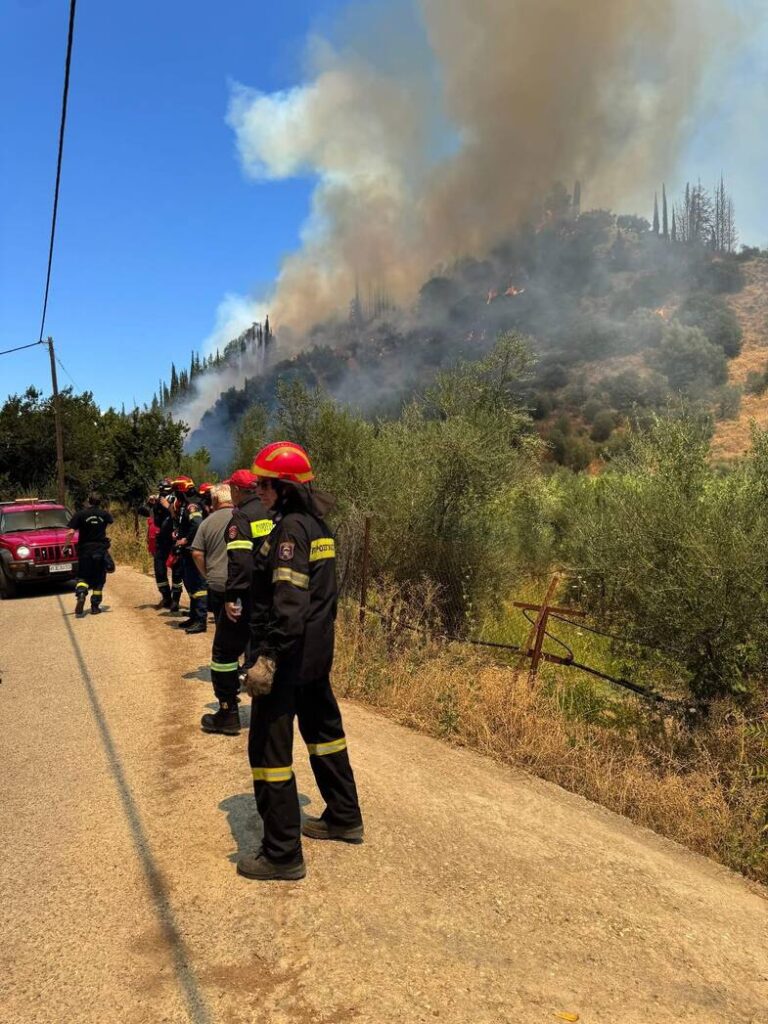 Υπό έλεγχο η φωτιά στις Νεραντζιές Αιγίου.
