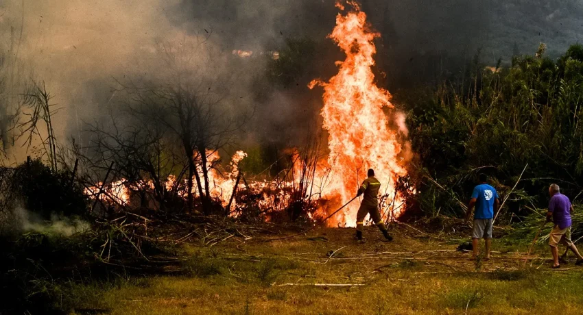 Οικονομικό Επιμελητήριο Δυτικής Ελλάδας: Επιστολή για τα μέτρα στήριξης των πυρόπληκτων