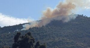 Αχαΐα: Συνελήφθη ο φερόμενος υπαίτιος  για τη φωτιά στην Άμπελο Ακράτας