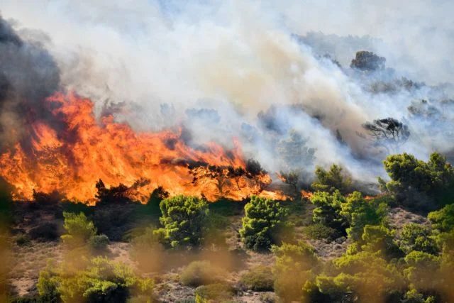 Πυρκαγιά ξέσπασε στη Λαμπεία Ηλείας – Ενισχύθηκαν οι πυροσβεστικές δυνάμεις