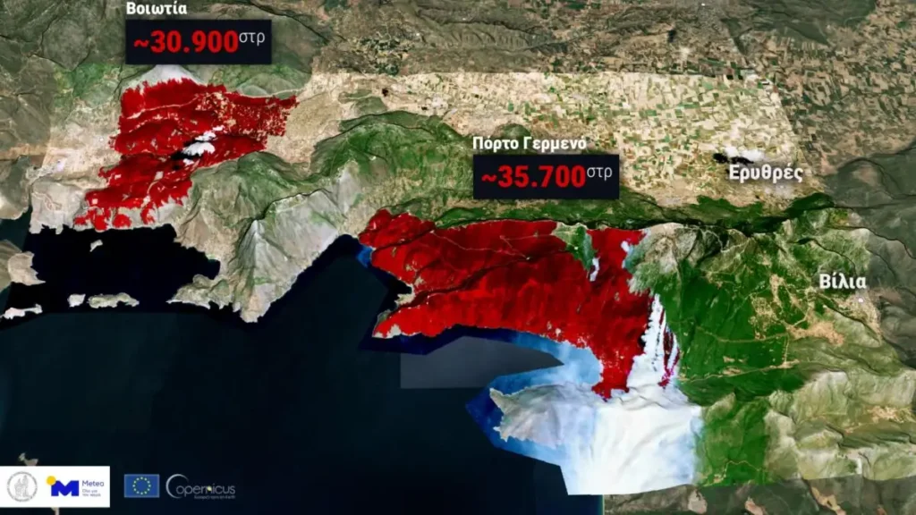 Βοιωτία και Αττική: Πάνω από 65.000 στρέμματα καταστράφηκαν